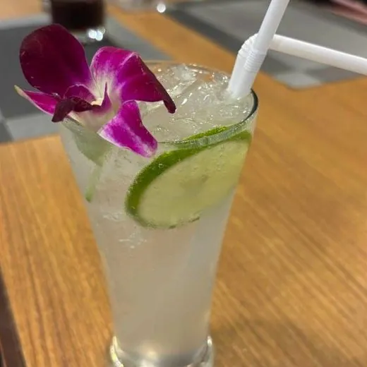 Un Vodka Fizz preparado con North Spirit