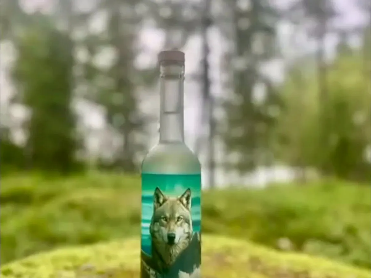 Una botella sobre musgo en el bosque sueco